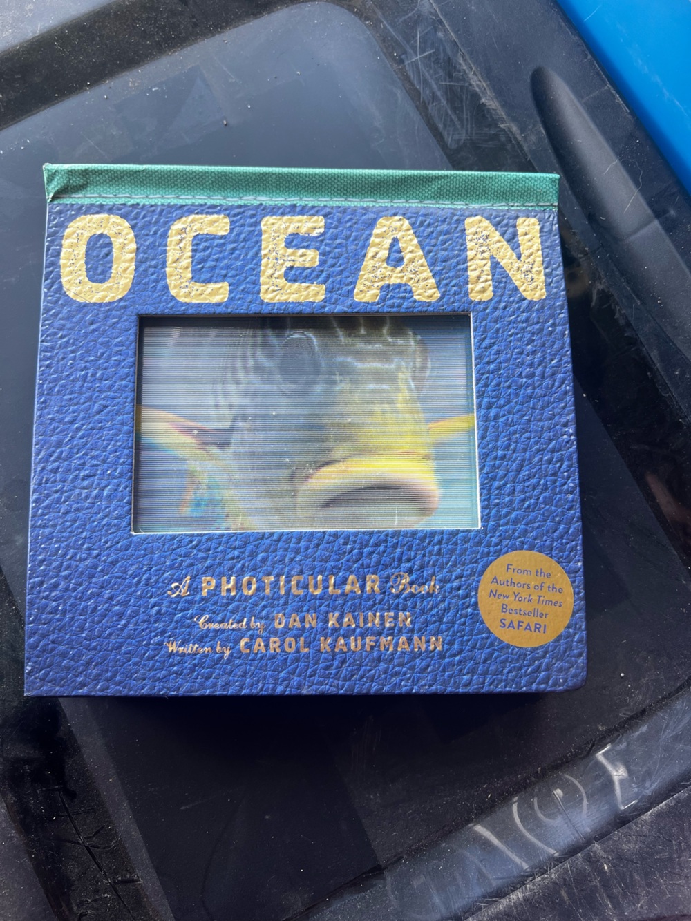 Ocean Pets Fish Photo Display - Blue